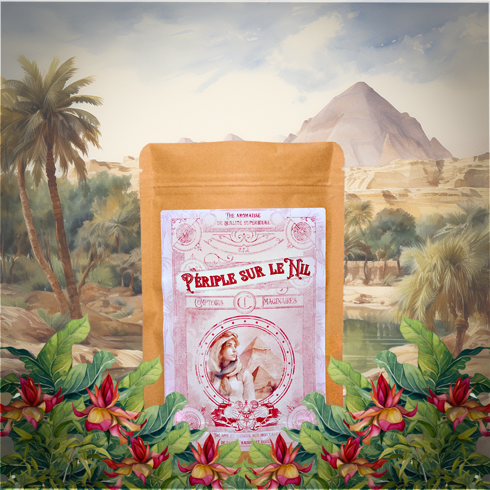 Paquet Périple sur le Nil : thé noir, raisin, datte, figue, hibiscus - Les Comptoirs Imaginaires