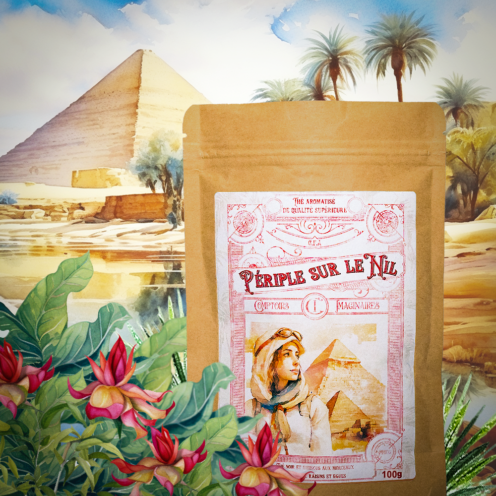 Paquet Périple sur le Nil : thé noir, raisin, datte, figue, hibiscus - Les Comptoirs Imaginaires