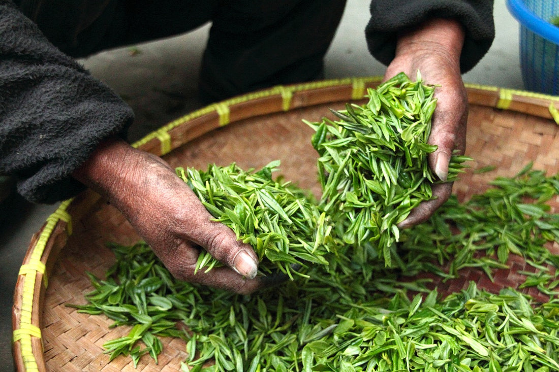 Les secrets de la mixologie de thé : Comment créer des mélanges de saveurs équilibrées